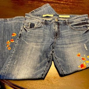 Anthropologie Pilcro Jeans